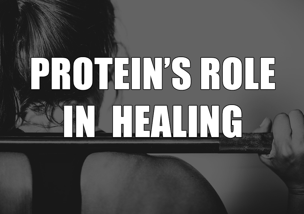 Protein's role in healing