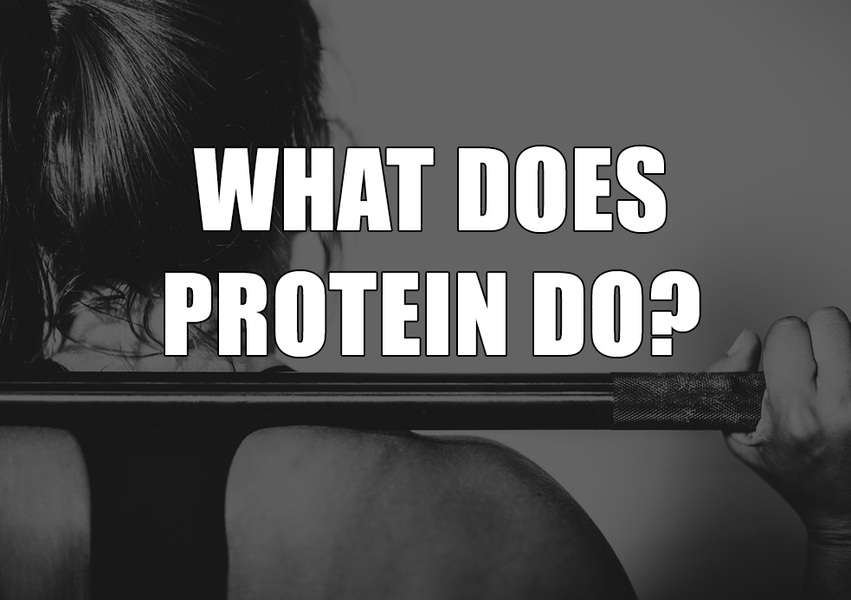 What is the Importance of Protein In Women's Body Health