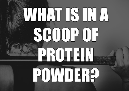 What is a Scoop of Protein Powder: Size of Protein Powder Scoop