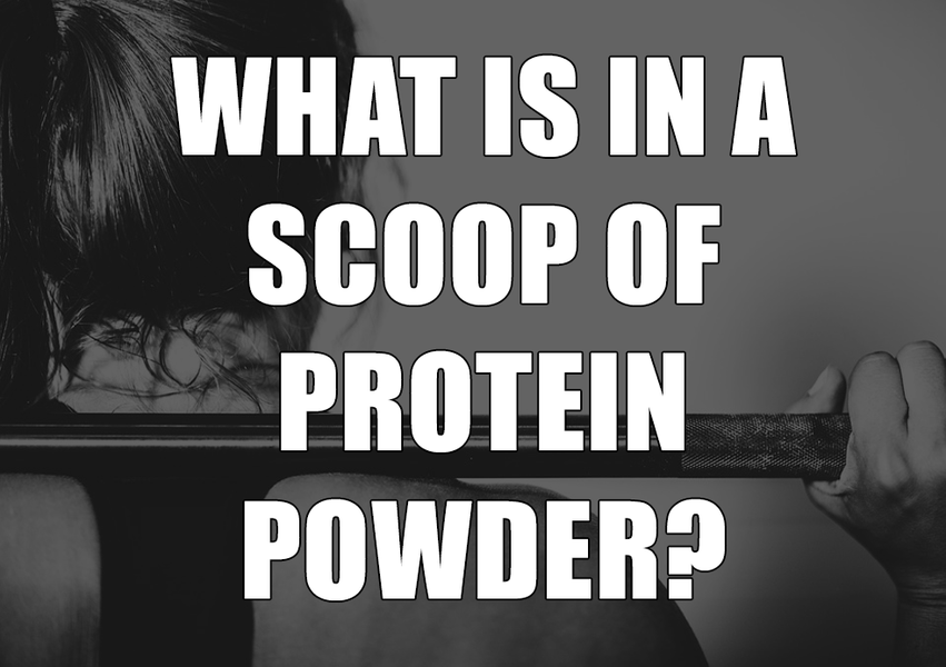 What is a Scoop of Protein Powder: Size of Protein Powder Scoop