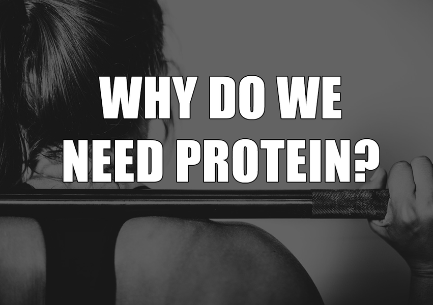 Why Dietary Protein is Important for Women's Body Health