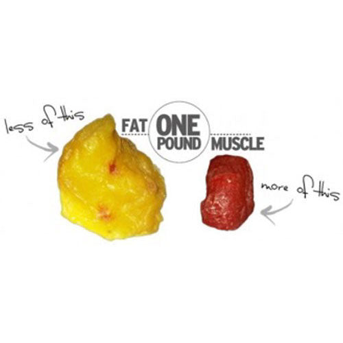 What Weighs More: Muscle or Fat?